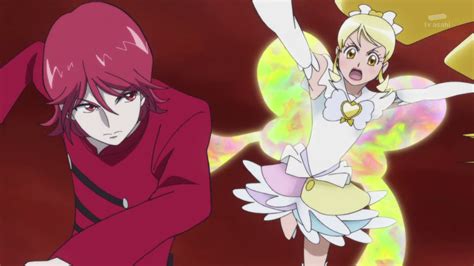 Hall of Anime Fame: Happiness Charge Precure Ep 48: Happiness Forever ...