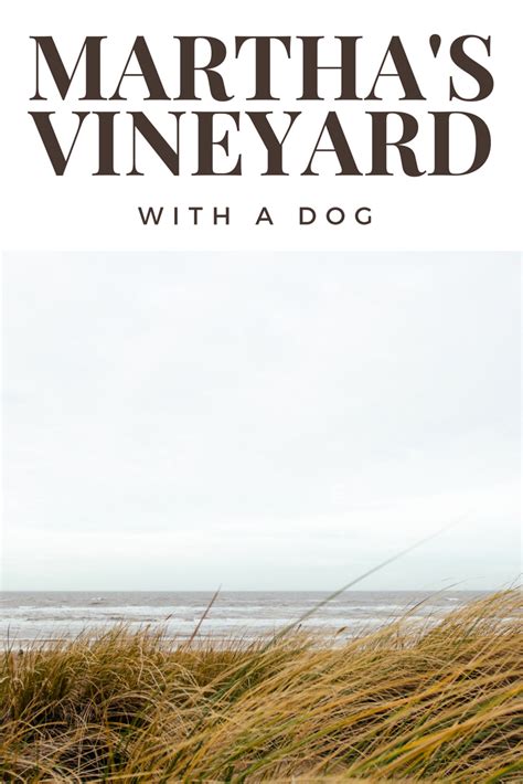 We Went There Marthas Vineyard With Images Dog Vacations Marthas