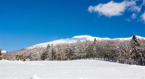 A Beautiful Winter Day In The Mountains To The Forests Stock Photo