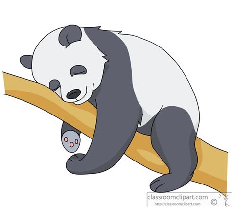 Panda Clipart Sleeping Pandaon Tree Branch 914 Classroom Clipart