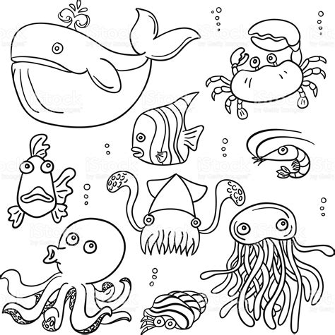 For instance, you better follow this article to draw cartoon. Cartoon sea animal in line art style, black and white | 描き ...
