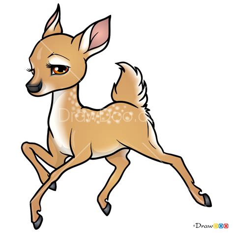 How To Draw Cartoon Deer Deer