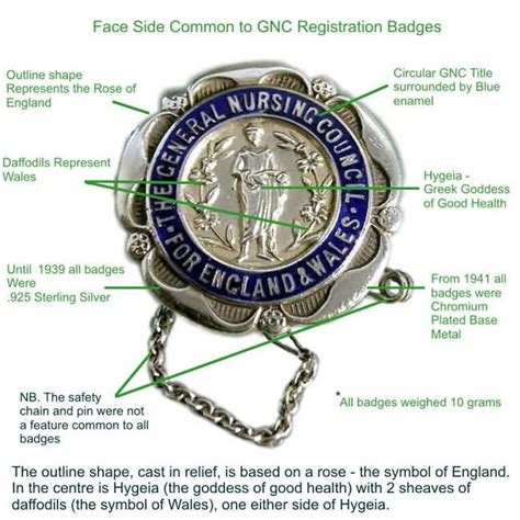 Srn Badge State Registered Nurse From Great Britain Nursing Board