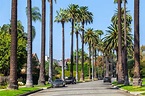 Beverly Hills Los Angeles: cosa vedere e attrazioni da visitare ...