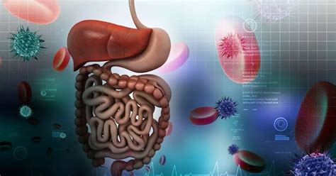 Gastrointestinal Diseases Understand The Most Common Stomach And