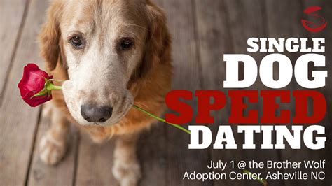 Single Dog Speed Dating The Laurel Of Asheville