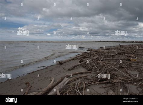 Dirty Beach After The Storm Stock Photo Alamy