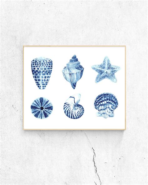 Nautical Print Seashell Print Printable Sea Shell Art Etsy