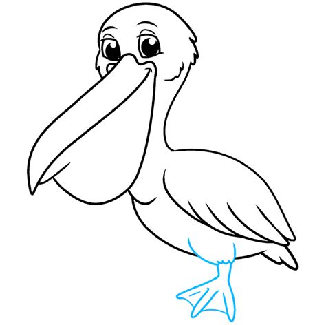 How To Draw A Pelican Really Easy Drawing Tutorial