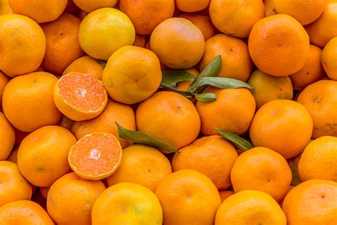 Quality Fresh Juicy Seedless Tangerine And Mandarinsouth Africa Price