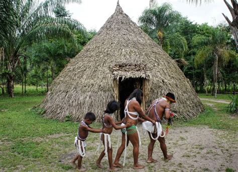 Indigenas Venezolanos Banco De Fotos E Imágenes De Stock Istock