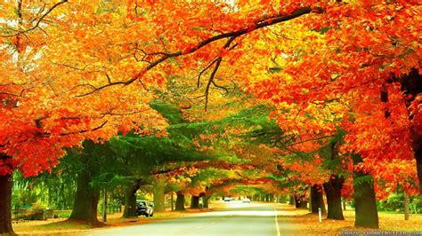 Vermont In Autumn Hd Wallpapers Top Free Vermont In Autumn Hd