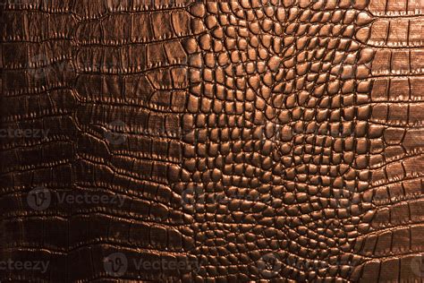 Crocodile Leather Texture 761069 Stock Photo At Vecteezy