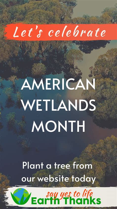 American Wetlands Month Celebrate And Plant A Tree From Our Website