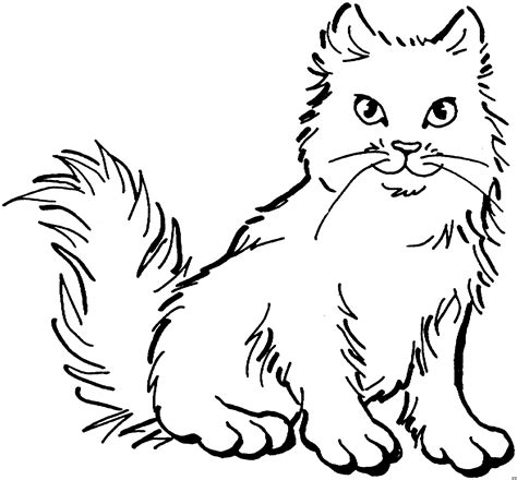 Malvorlage Katze Umriss - schablonen ausdrucken
