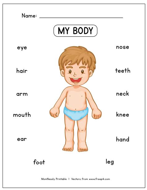 Then they are asked to draw a line to match each name of the body part to its picture on the other side of. Pin on KG