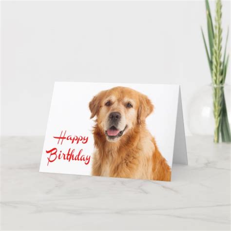 Happy Birthday Golden Retriever Puppy Dog Card