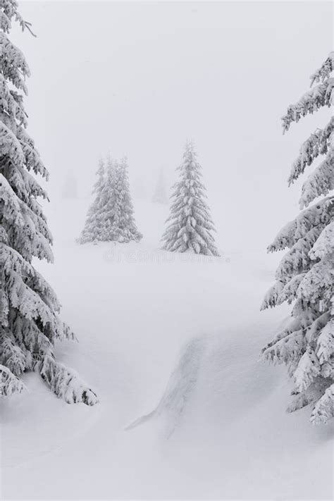 Snowy And Foggy Mountain Stock Image Image Of Season 127040701