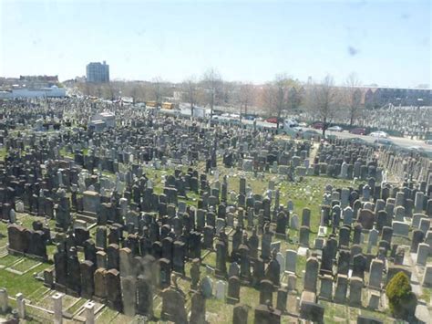 Washington Cemetery Borough Park Midwood Forgotten