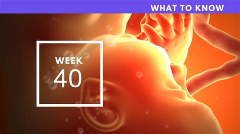 40 weeks pregnant what to know youtube