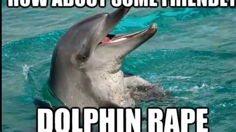 Miami Dolphins Memes Funny Png