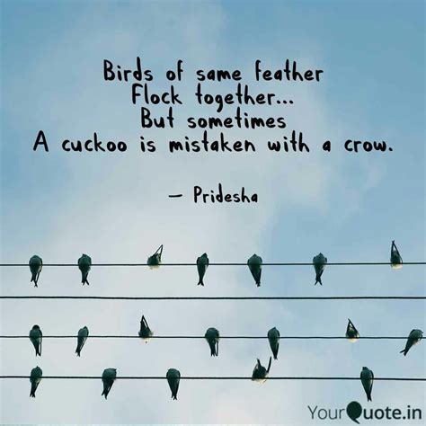 Pridesha Jayaprakash Says Birds Of Same Feather Flock Together