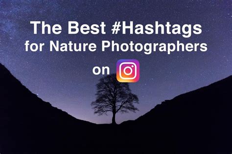 The Best Hashtags For Nature Photography On Instagram Nature Ttl