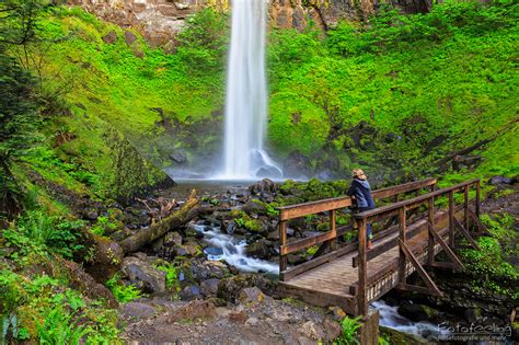 Elowah Falls