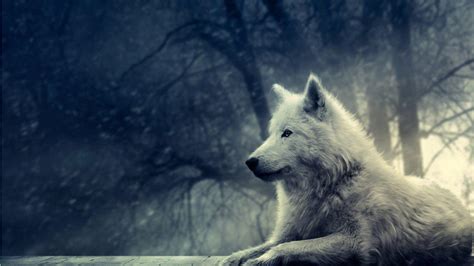 Pack dog anime death png clipart animal animals anime. Anime Wolf Wallpapers - Wallpaper Cave