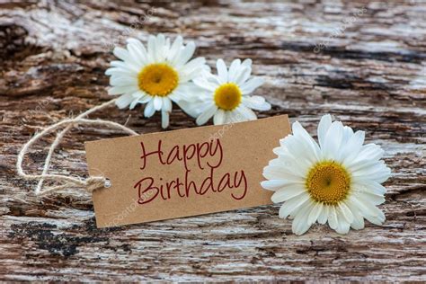 Daisy Flowers With A Tag Happy Birthday — Stock Photo © Alexraths