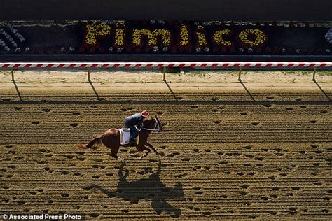 Preakness Day Arrives With Racing In The Spotlight After Eight Horses