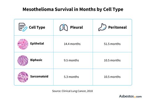 Mesothelioma Life Expectancy Survival By Diagnosis And Stage