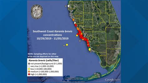 High Levels Of Red Tide Reported In Sarasota County