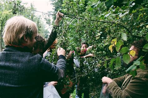 Urban Foraging — Find Out What Your City Tastes Like