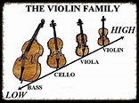 VIOLIN FAMILY 1 :: StringQuest