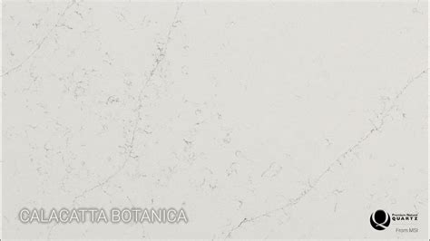 Quartz From Msi Calacatta Botanica Youtube
