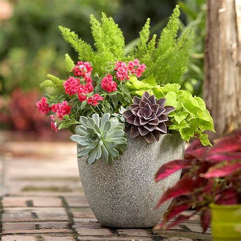 40 Creative Garden Container Ideas And Plant Pots