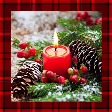 Holiday Type Fragrance Oil The Flaming Candle Company