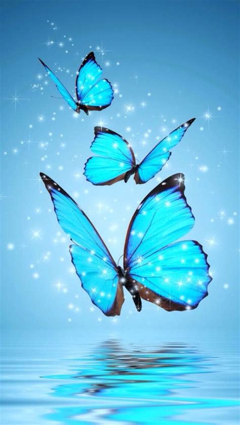 Blue Butterfly Wallpaper En