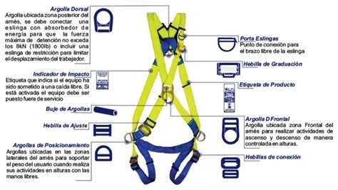 Arnes De Seguridad Para Que Sirven Y Diferencias Entre Ellos