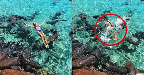 Instagram Model Katarina Zarutskie Was Attacked By A Shark As She Was