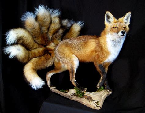 Nine Tailed Fox Kyuubi No Kitsune By Rcahern On Deviantart