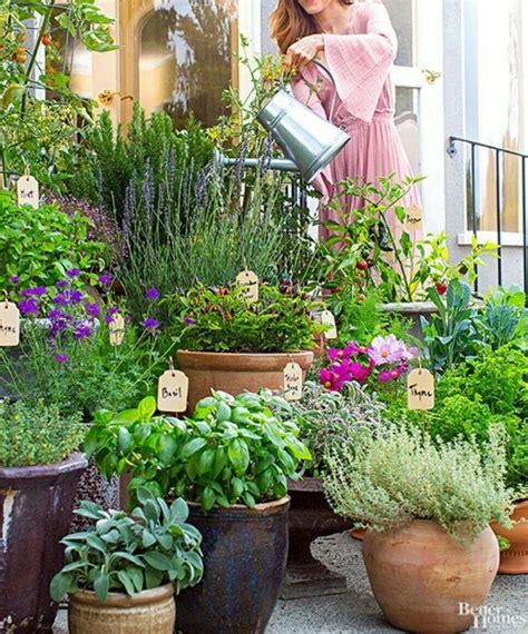 10 Patio Container Garden Ideas Most Incredible And Also Attractive