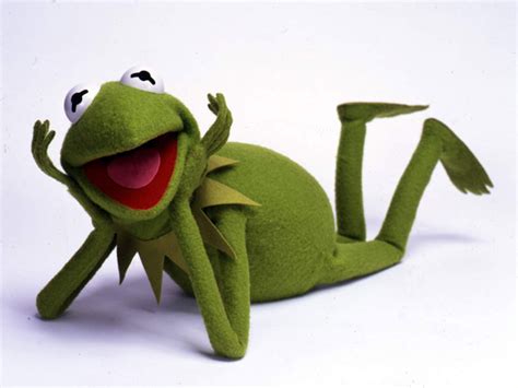 Kermit The Frog The Sesames Show Idea Wiki Fandom Powered By Wikia