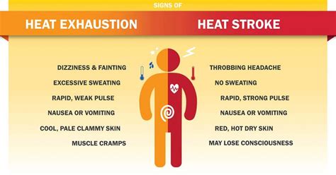 What Are The Signs Of Heat Exhaustionheat Stroke Safety Kinetics