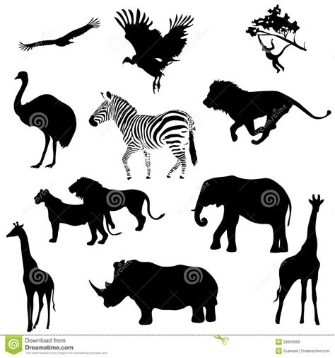 Animal Silhouette Black Silhouette Silhouette Vector African Animals
