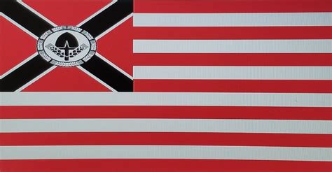 A National Syndicalist American Flag Concept Vexillology