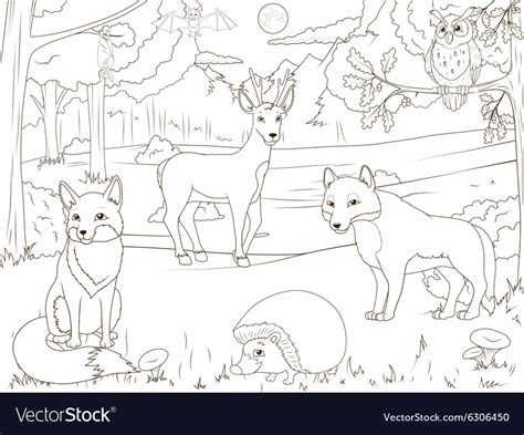 Forest Animals Coloring Pages