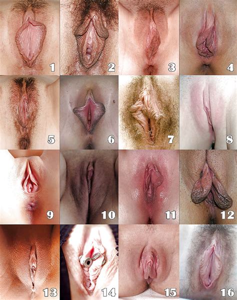 Average Size Of Female Clitoris Free Porn