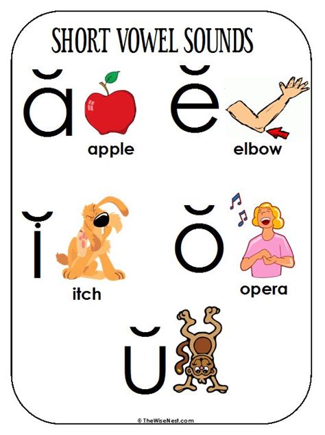 Short Vowel Sounds Poster The Wise Nest